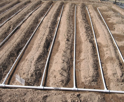 Riego por goteo con tuberías de pvc