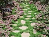 imagen Plantas ideales para caminos y senderos