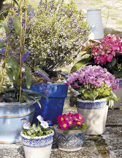 plantas preparadas para las vacaciones