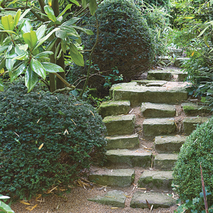 Escaleras en el jardín 4