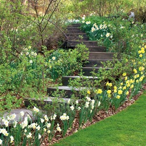 Escaleras en el jardín 8