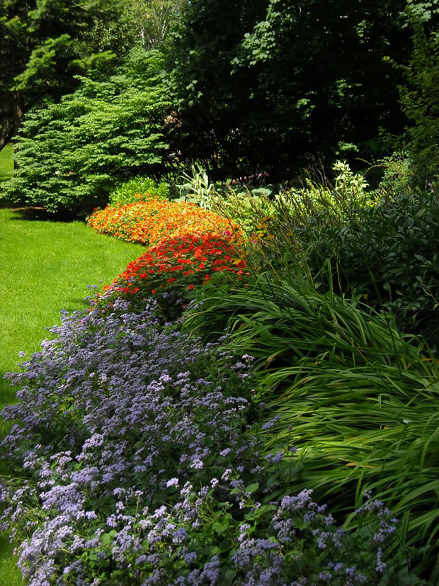 Jardín de bajo mantenimiento