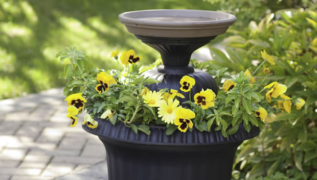 complejidad Convencional Suposición Cómo hacer una fuente para pájaros con flores