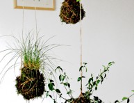 imagen Cómo hacer un kokedama