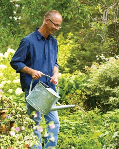 Receta para té de compost