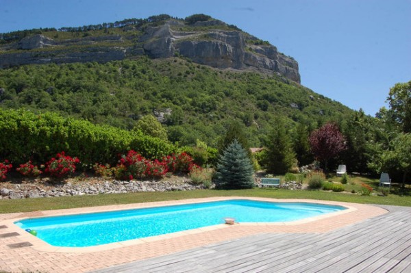 Plantas y césped alrededor de la piscina 1