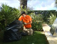 imagen La limpieza del jardín es una tarea de todo el año