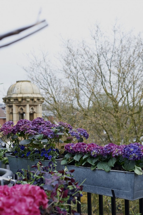 Consejos para un jardín en el balcón 3