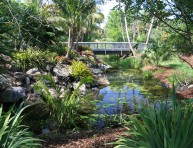 imagen Cómo crear un jardín tropical