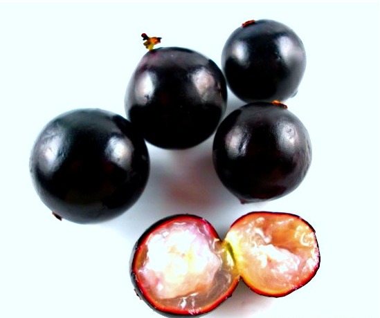 La jaboticaba 3