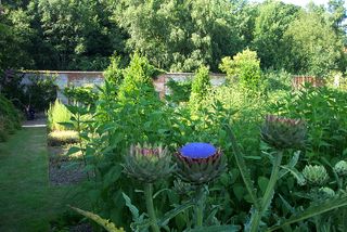 4-Globe-artichokes