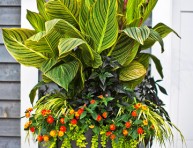 imagen Las mejores flores tropicales para tu patio