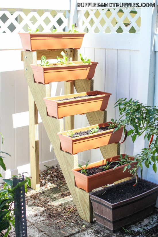 Jardín vertical escalonado DIY 1