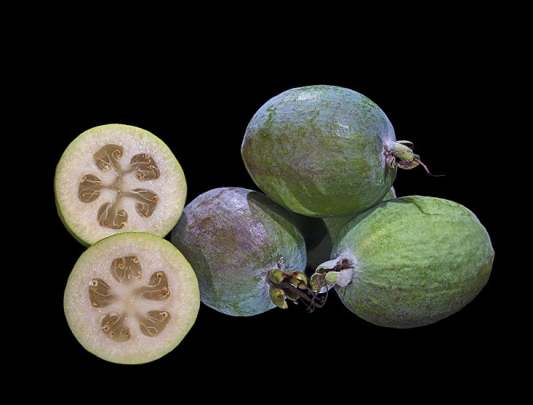 Feijoa o guayabo del brasil 3