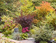 imagen Tips para planificar un jardín otoñal