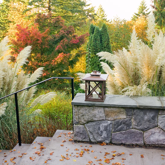 Jardín de otoño 1