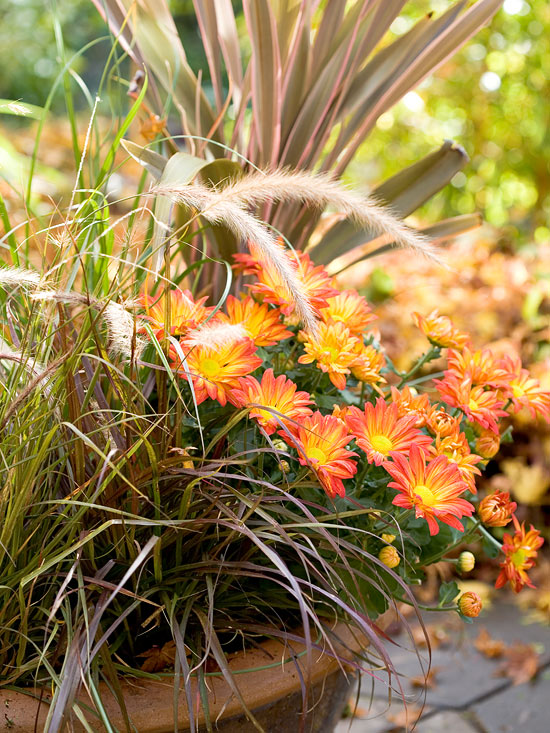 Jardín de otoño 7