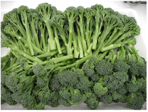 Bimi o broccolini 3