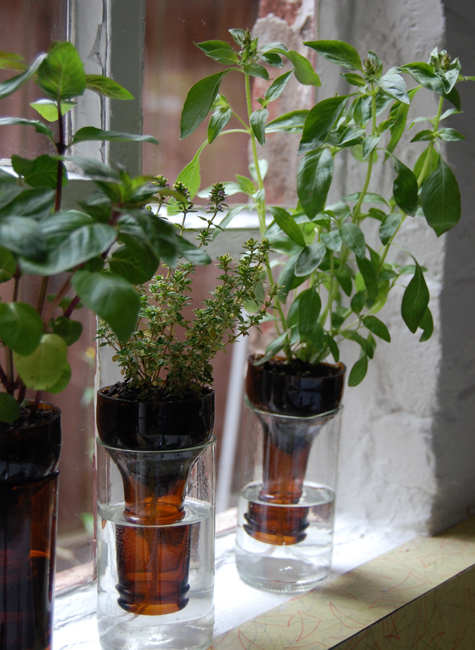 Hidrojardineras con botellas