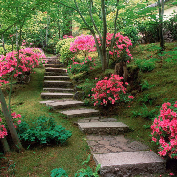 Composiciones con azaleas para jardines