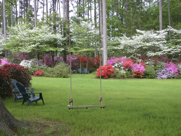 Composiciones con azaleas en el jardín o en maceta