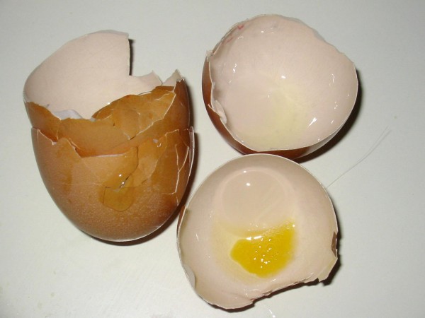 Usos de las cáscaras de huevo 3