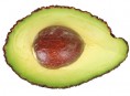 imagen Cómo cultivar aguacate a partir del hueso o carozo