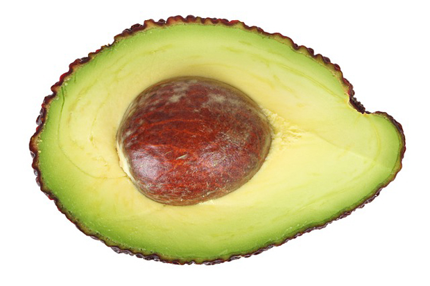 Consejos para cultivar aguacate 3