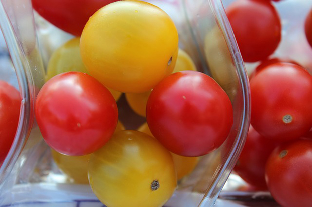 Tomate cherry amarillo 1