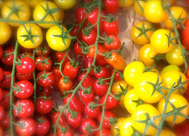 Tomate cherry amarillo 3