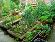 imagen Ventajas y desventajas del cultivo en camas elevadas