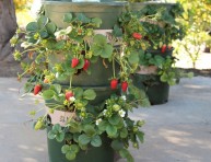 imagen Torre de macetas para cultivar fresas