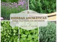 imagen 5 hierbas aromáticas para cultivar en interior