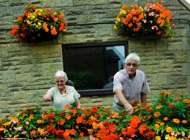 jardin-inmaculado-inglaterra-7