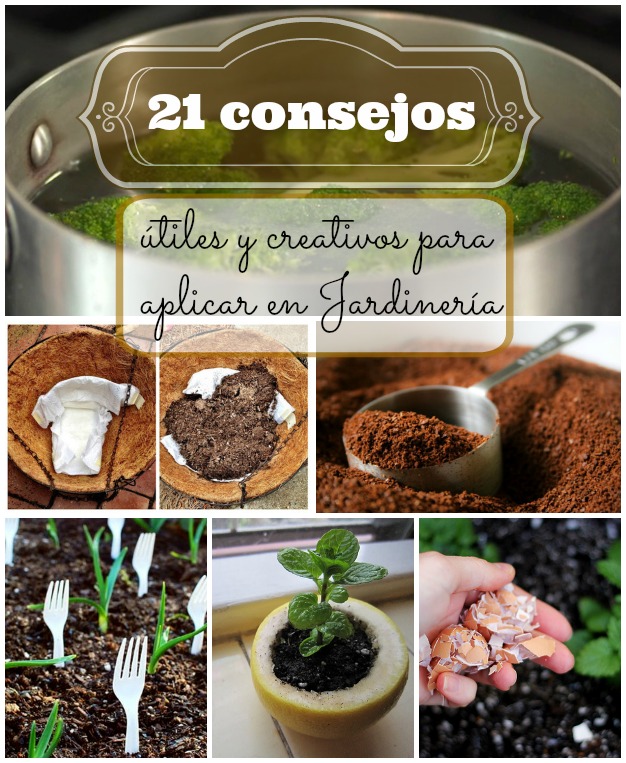 consejos-creativos-de-jardineria