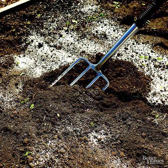 el-xeriscape-un-estilo-de-jardineria-sostenible-02