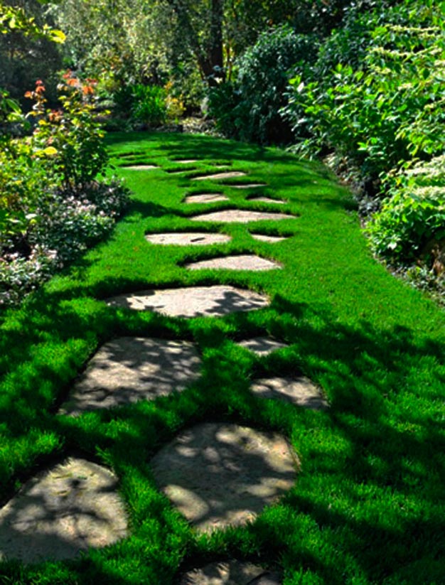 ideas-de-caminos-para-el-jardin-idea-4