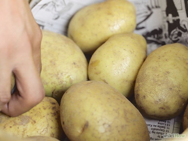 como-conservar-las-patatas-02