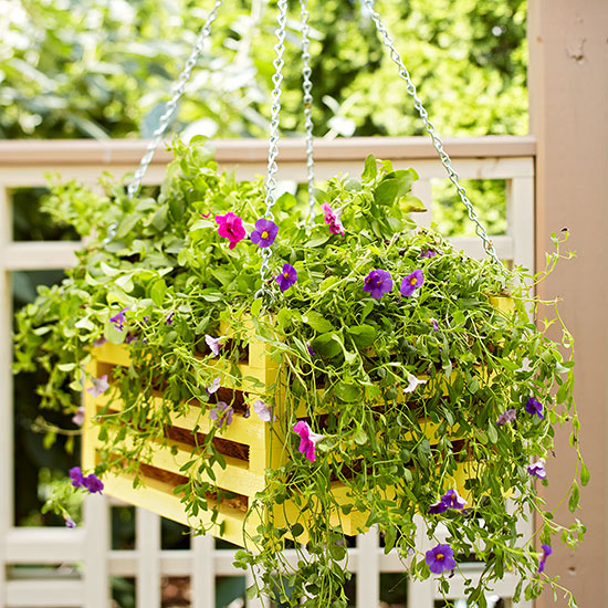 tu propia jardinera colgante