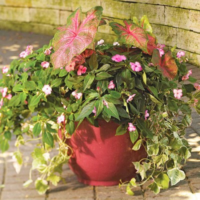 Fundamentos de diseño para las macetas de jardín