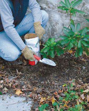 fundamentos-de-fertilizacion-02.jpg