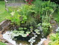 imagen Cómo construir un estanque en tu jardín