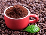 imagen 10 usos de los posos de café en el jardín