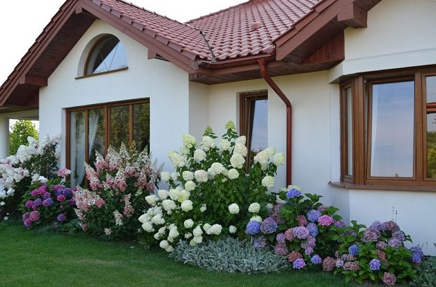 15-ideas-de-paisajismo-con-hortensias-01