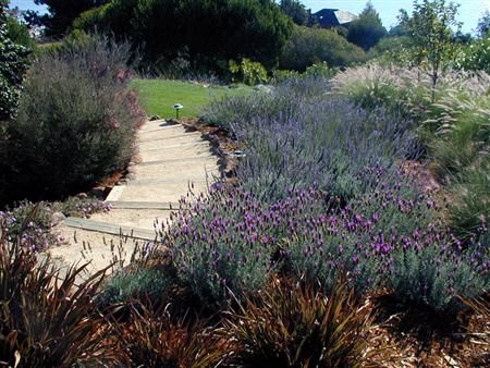 7-ideas-de-paisajismo-con-lavanda-03