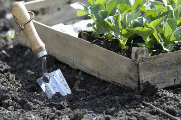 algunos-consejos-para-crear-un-jardin-10