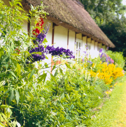 algunos-consejos-para-crear-un-jardin-18