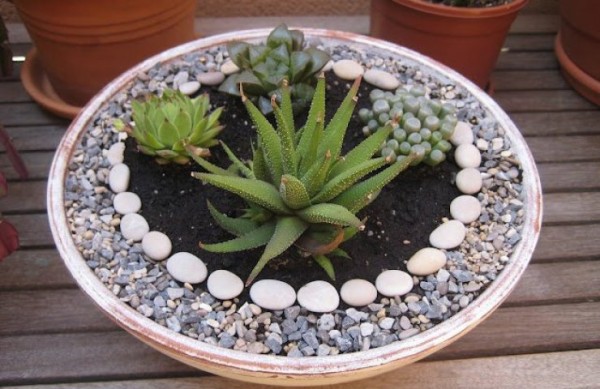 como-hacer-un-jardin-zen-en-miniatura-08