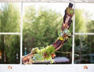 imagen Composiciones de plantas y madera recuperada del mar