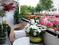 imagen Las mejores flores para el balcón